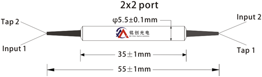 1669948273152819.png PMTC2.png